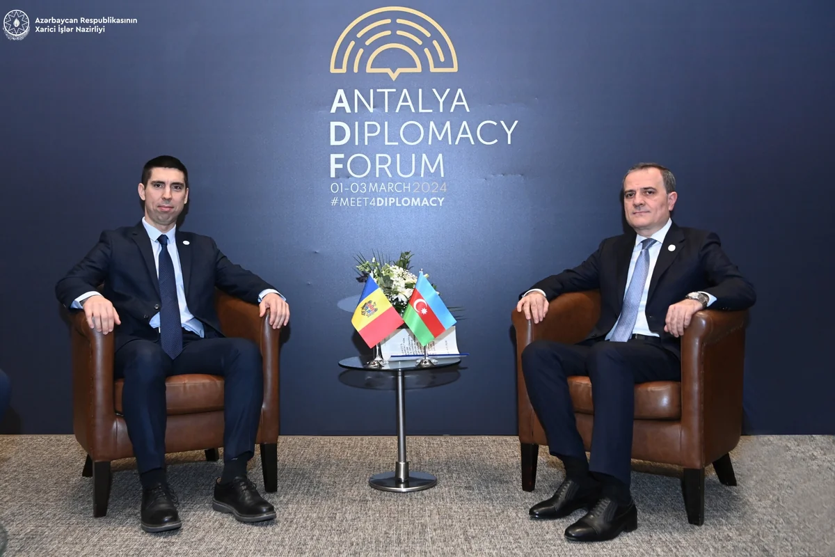 Azerbaijani, Moldovan FMs discuss bilateral partnership