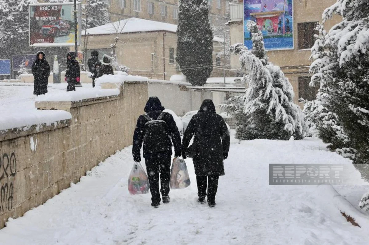 Cəlilabadda gün ərzində 4 nəfər buzlu yolda yıxılaraq travma alıb