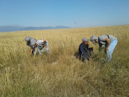 ​Tərtər və Füzulidə 4 ədəd partlamamış hərbi sursat aşkar edilib