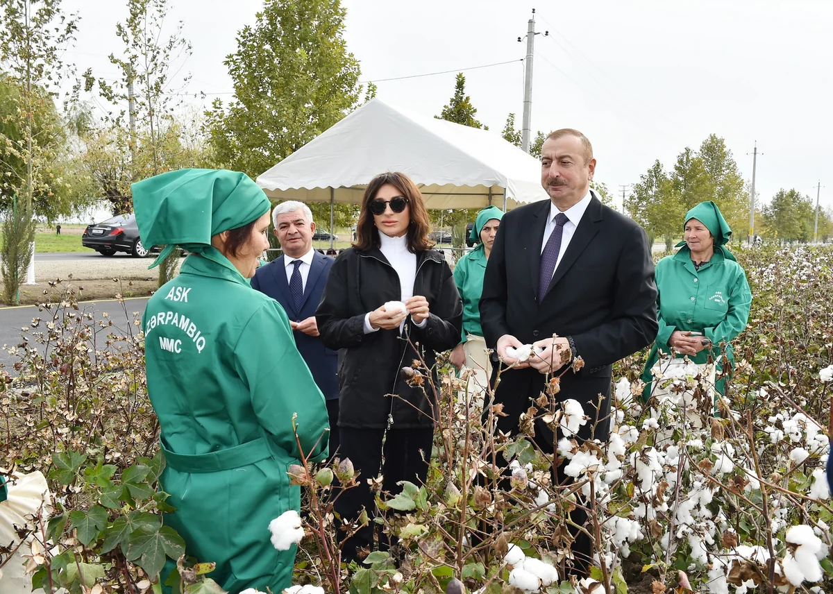 Azərbaycan Prezidenti Ağcabədi rayonunun Hindarx qəsəbəsində pambıq sahəsi ilə tanış olub