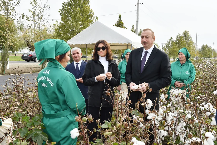 President Ilham Aliyev views cotton field in Hindarkh settlement in Aghjabadi