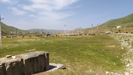 Heyvan düşərgələrində səyyar baytarlıq xidməti təşkil edilib