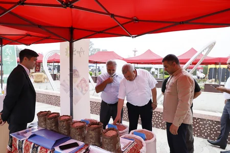 Ağcabədidə Aqrar İnnovasiya Festivalı keçirilib
