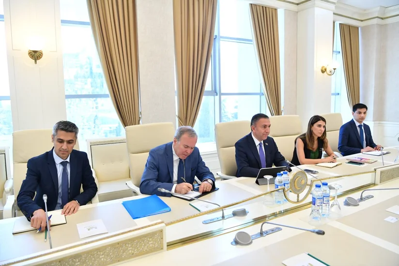 AP-nin komitə sədrinin müavini: Aİ Azərbaycanla əməkdaşlığa böyük önəm verir