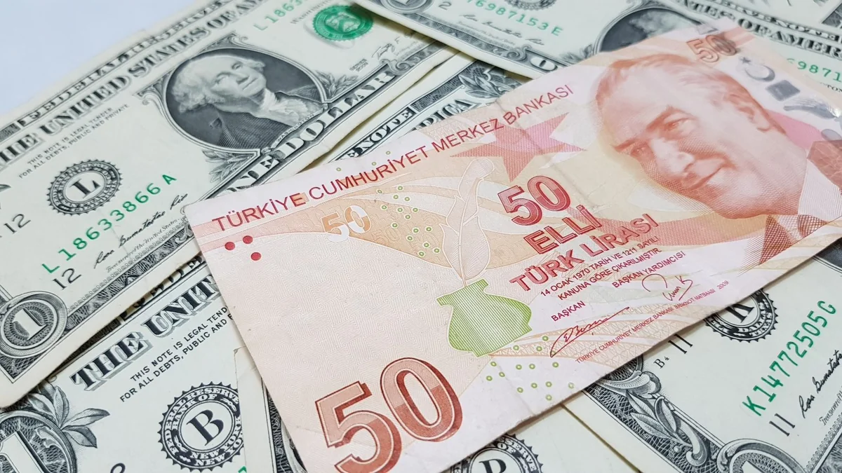 “Report”: Türkiyədə dolların məzənnəsi 6 lirə ətrafında sabitləşəcək - ANALİTİKA