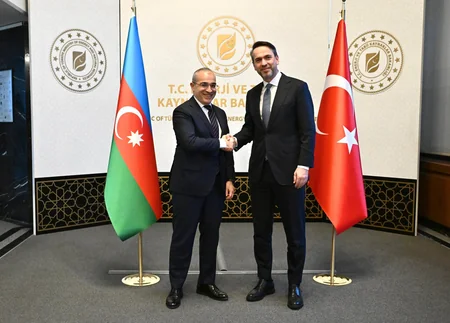 Ministers discuss Azerbaijan-Türkiye cooperation in renewable energy sector