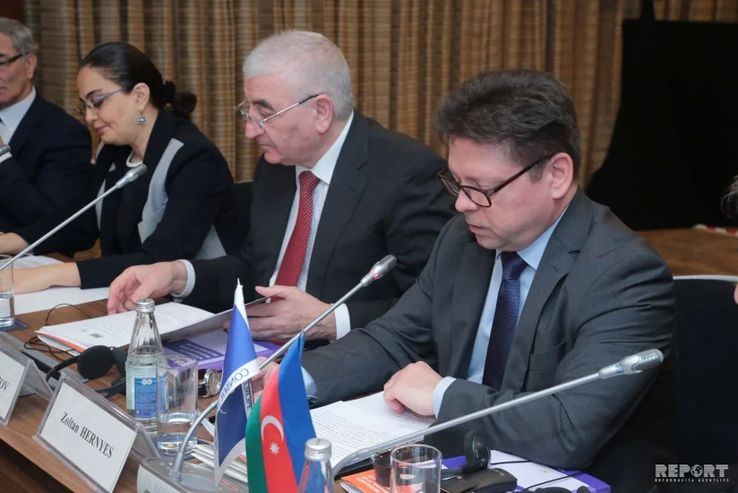 The head of the Baku office of European Council: Media plays a key role in holding free and democratic elections