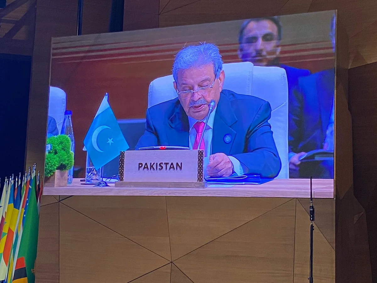 Federal minister: NAM plays important role in solving many challenges