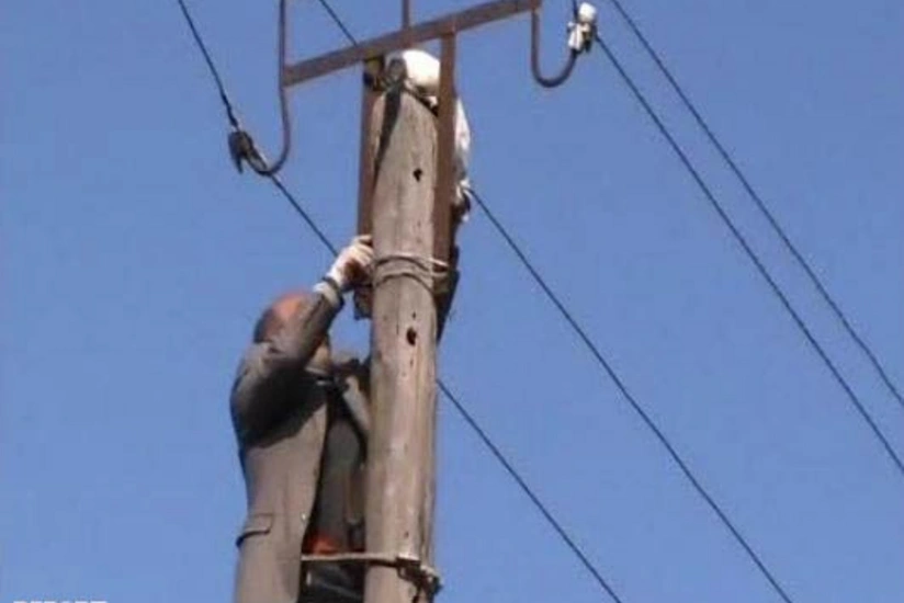 Salyanda 1 gündən çox elektrik dirəyində qalan pişik xilas edilib - VİDEO - YENİLƏNİB