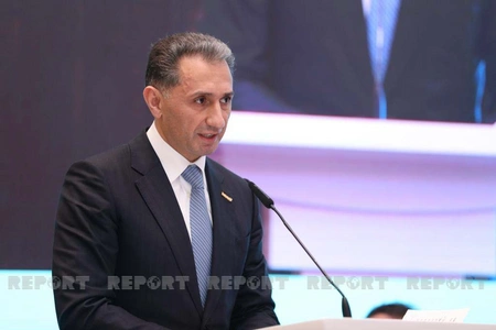 Rəşad Nəbiyev: Ələt aeroportu Azərbaycanı Avrasiyanın əsas logistika mərkəzlərindən biri edəcək