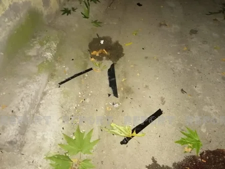 Bakıda oğurluğa cəhd edən kişi özünü 5-ci mərtəbədən yerə atıb