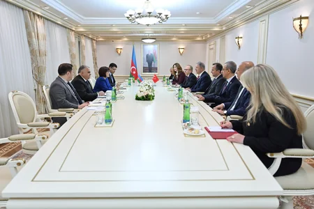 Sahiba Gafarova mulls global, regional issues with Hulusi Akar