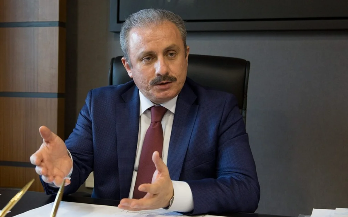 Шентоп: На этих землях вечно будет развеваться флаг Азербайджана
