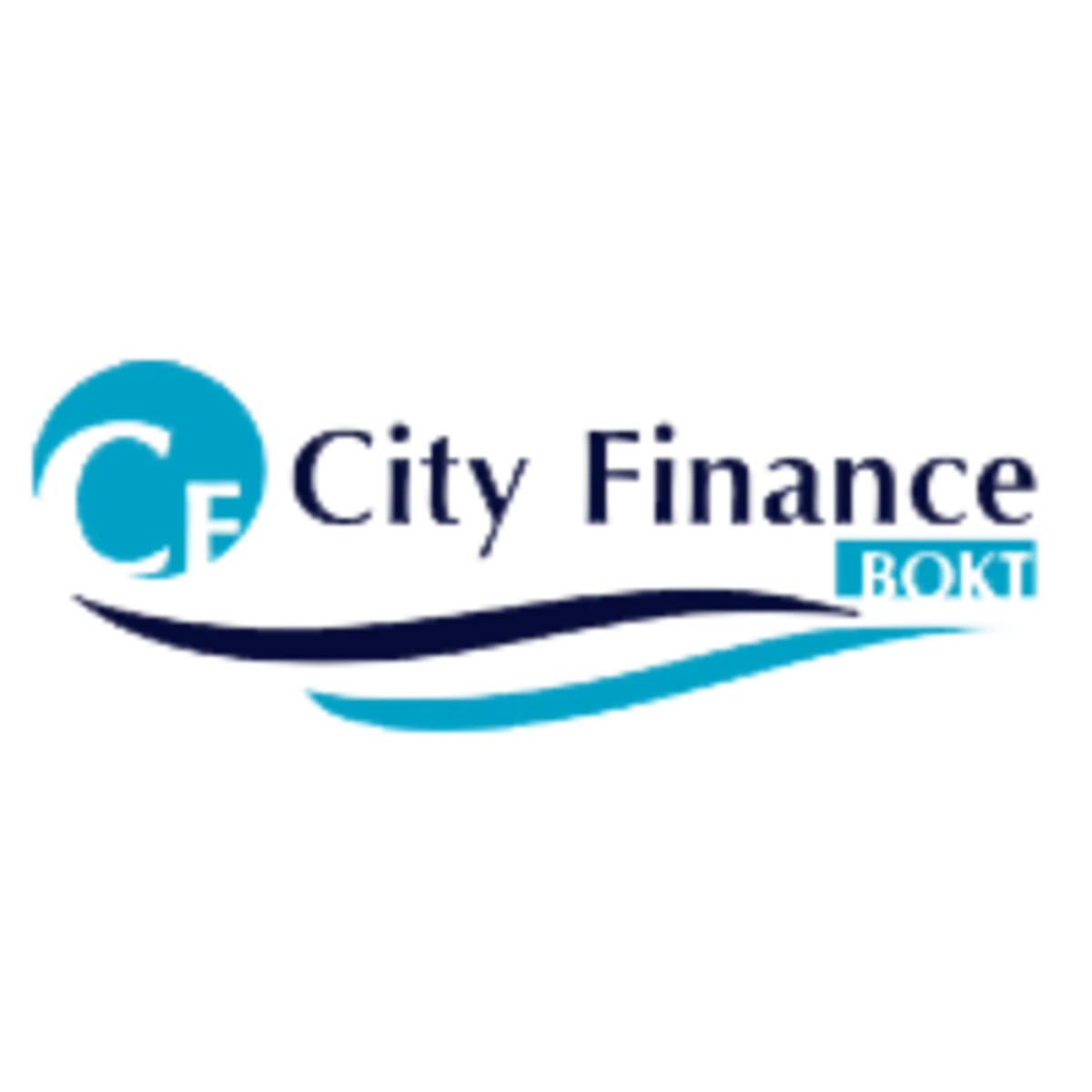 City Financeın təsisçilərinin sayı azalıb