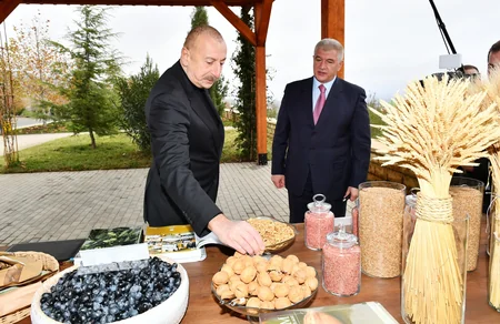 İlham Əliyev “Şəki-Oğuz” Aqroparkında yaradılan şəraitlə tanış olub - YENİLƏNİB