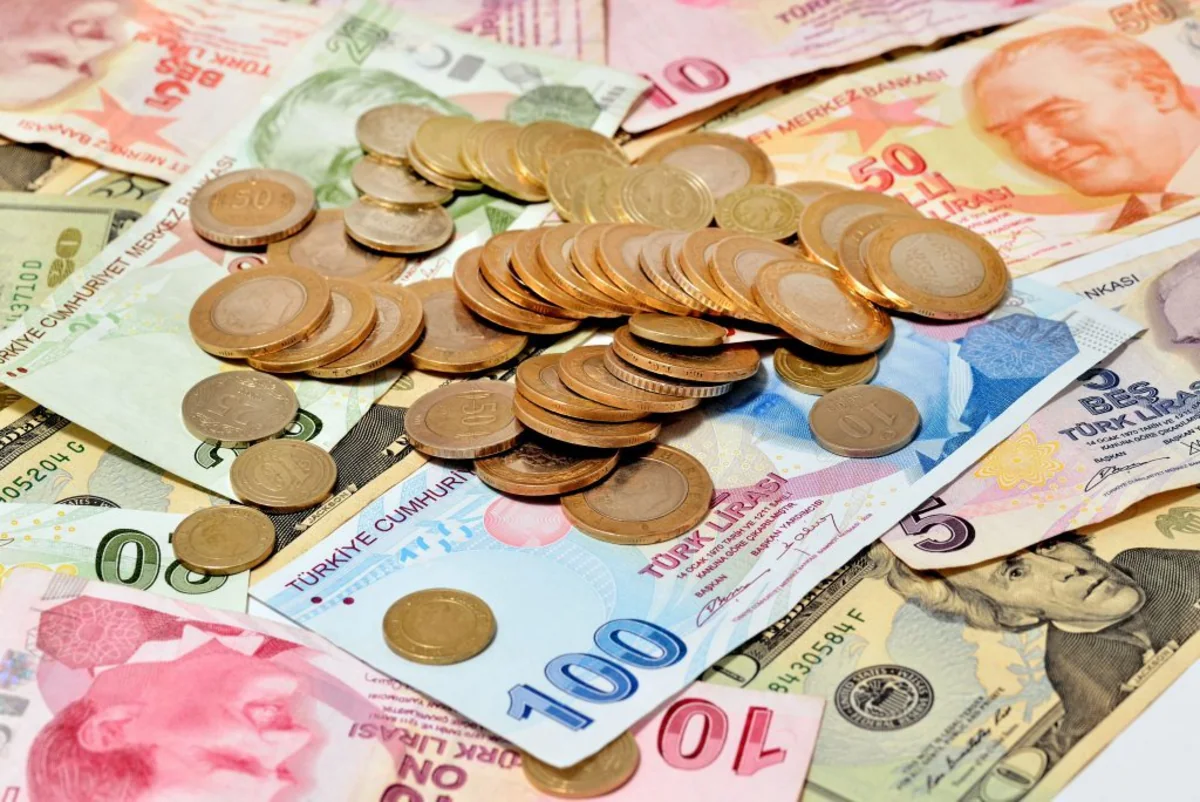 TRY/USD nisbəti 4,8-i keçib