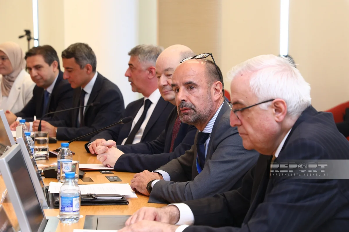 EU working with Azerbaijan for successful COP29