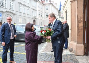 Sahiba Gafarova: Azerbaijan is ready for peace