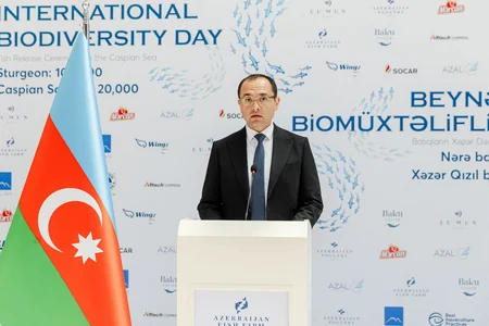Azerbaijan Fish Farm released 100.000 Sturgeon and 20.000 Salmon into the Caspian Sea