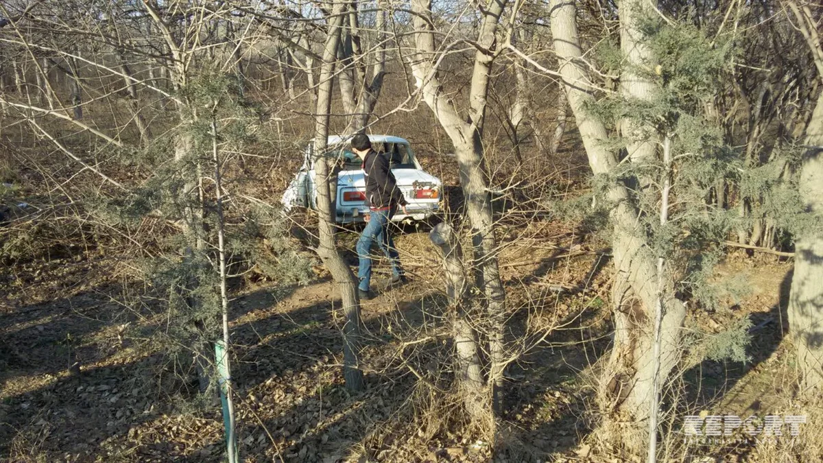 В Евлахе автомобиль врезался в дерево, водитель тяжело пострадал