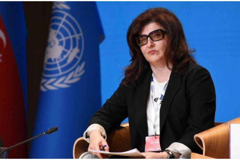 İqtisadiyyat nazirinin müavini vəzifəsindən azad edilib