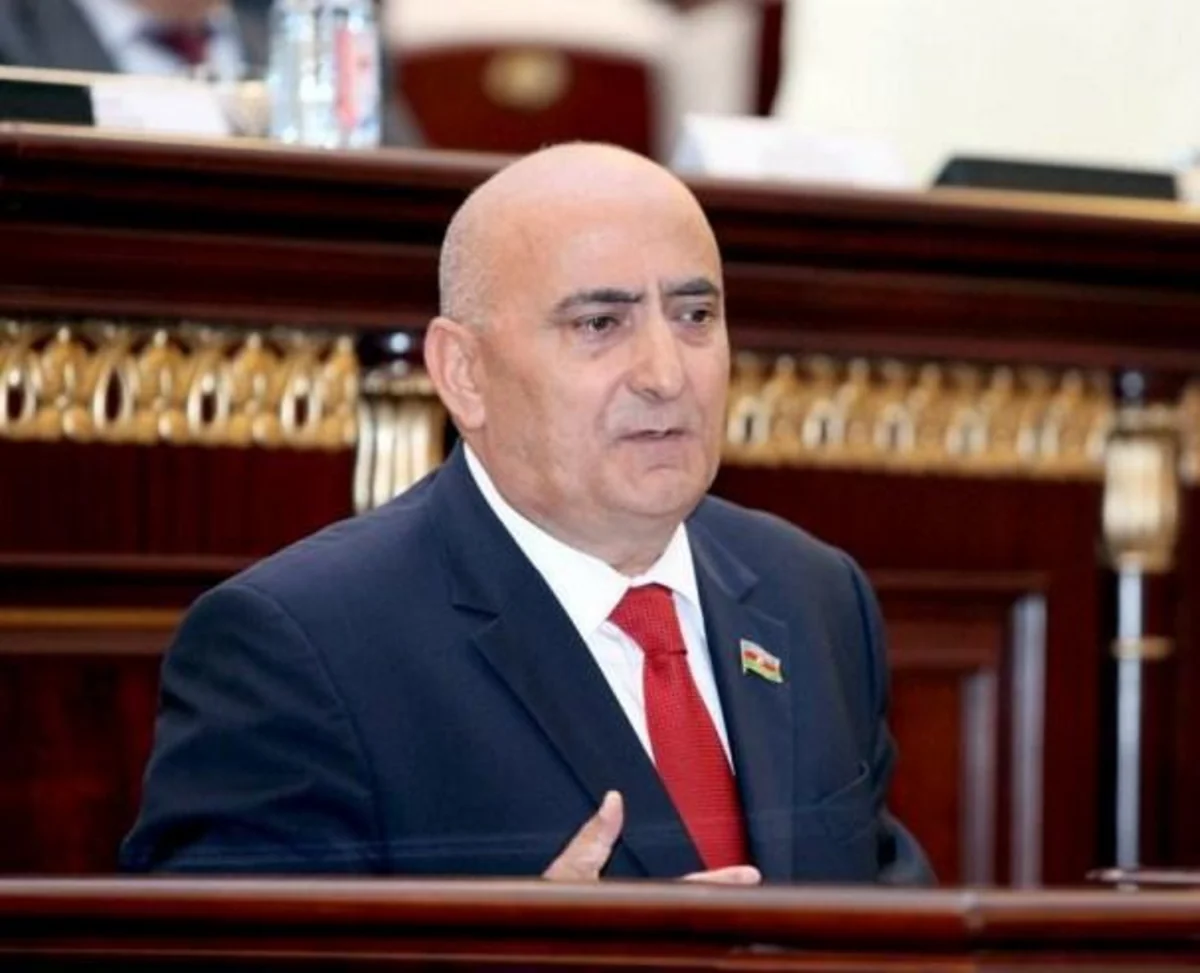 Deputat: “Elmi şuralar “anekdot” yeri olmamalıdır”