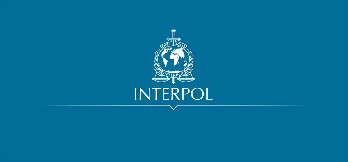 İnterpol Afrikada cinayətkarlıqla mübarizə çərçivəsində 2 milyon avrodan çox pul müsadirə edib