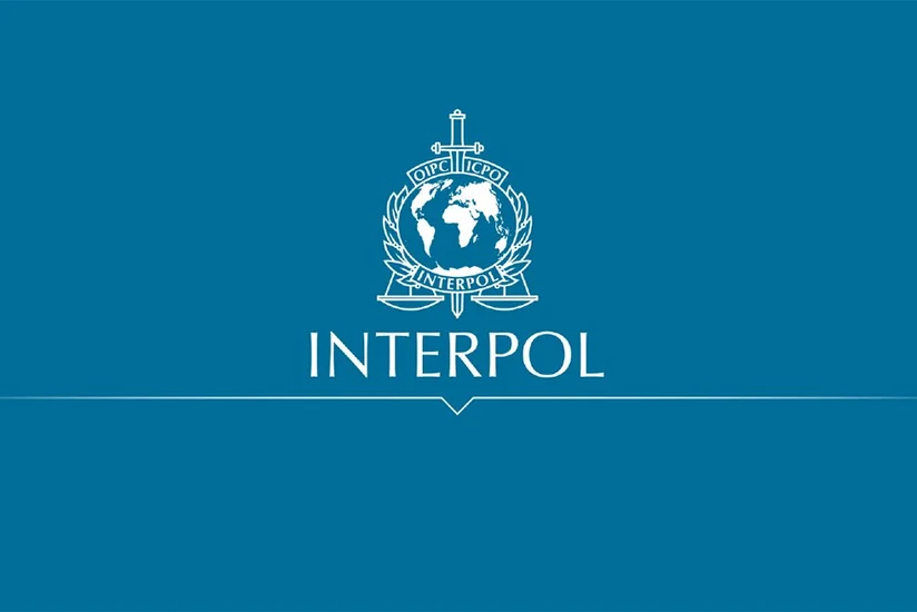 İnterpol Afrikada cinayətkarlıqla mübarizə çərçivəsində 2 milyon avrodan çox pul müsadirə edib