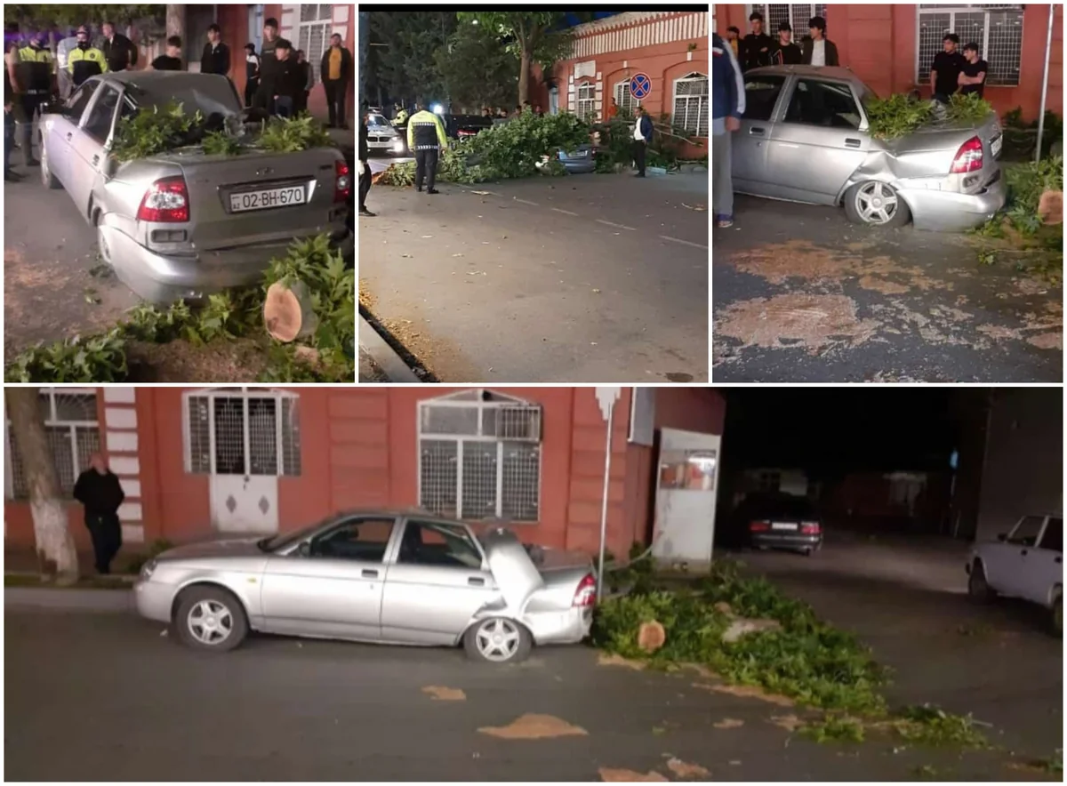 ​​​​​​​Сильный ветер в Агдаше вызвал ряд последствий