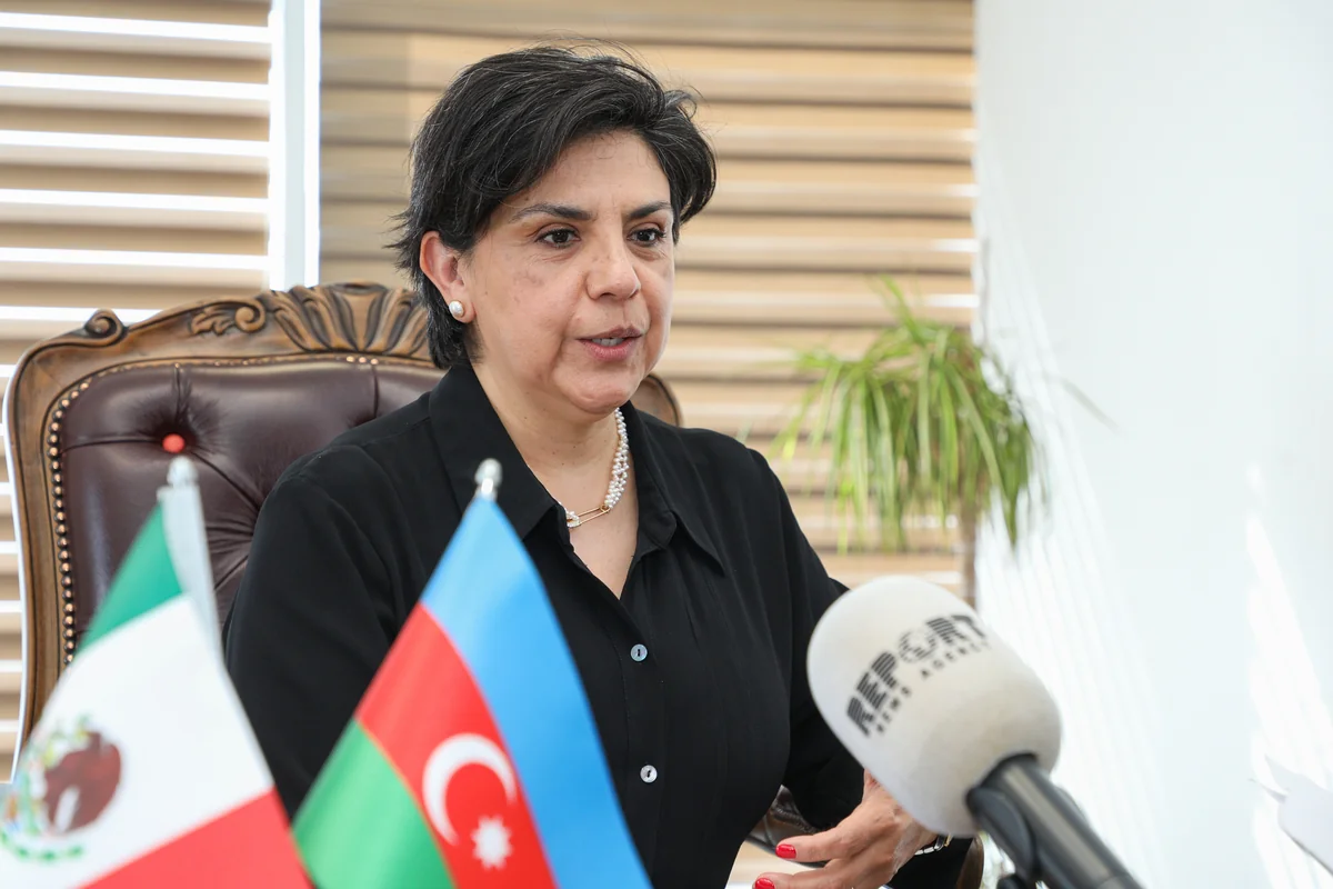 Envoy: Azerbaijan-Mexico trade, investment level growing