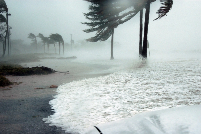Hurricane Laura makes landfall in Louisiana