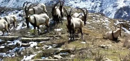 Bu gün Zəngəzur Milli Parkının yaradılmasından 20 il ötür