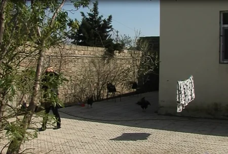 Bakıda dayı bacısı qızını qətlə yetirib - YENİLƏNİB - FOTO