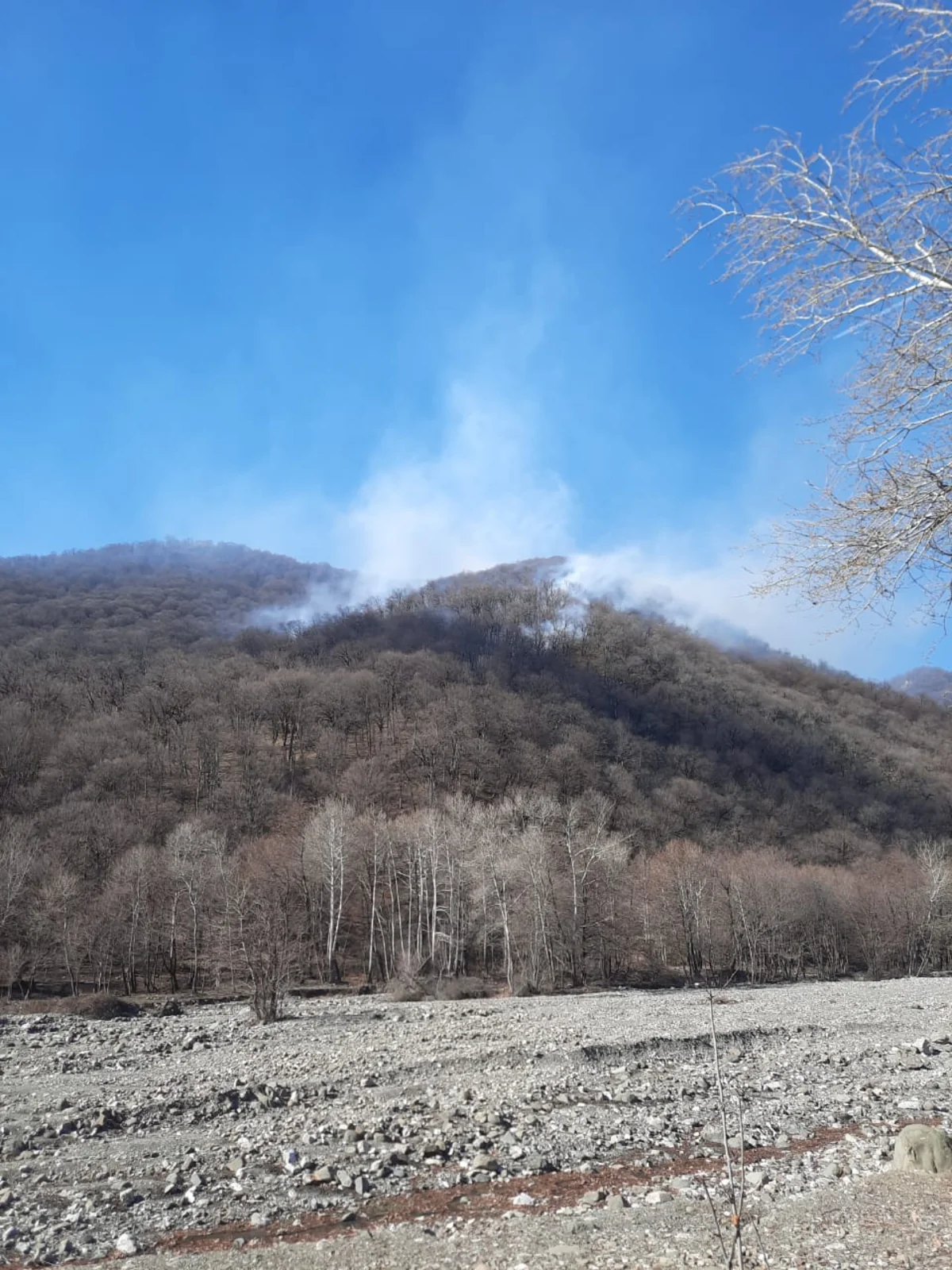 Fire in Shahdag National Park extinguished - UPDATED