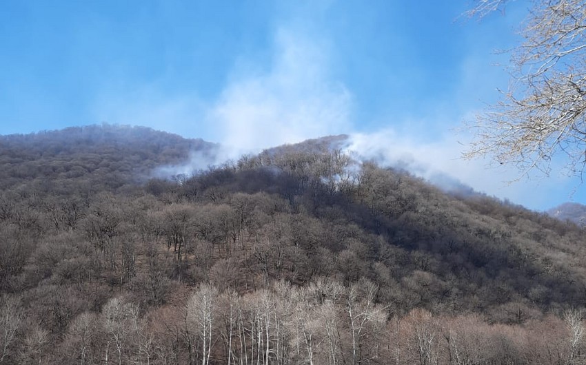 Fire in Shahdag National Park extinguished - UPDATED