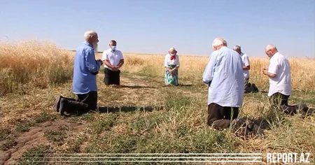 Интересная традиция в единственном колхозе Азербайджана - ВИДЕО