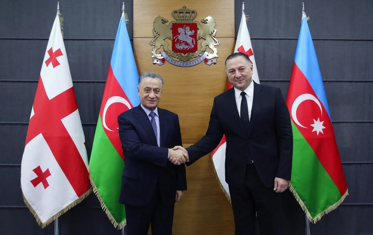 SC secretaries of Azerbaijan and Georgia mull security issues