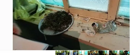 Ağdaşda narkotik və “patı” satışı ilə məşğul olan şəxslər saxlanılıb