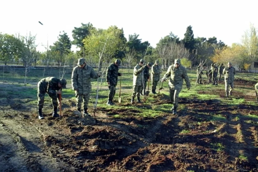 ​Silahlı Qüvvələrdə ağacəkmə aksiyasına start verilib