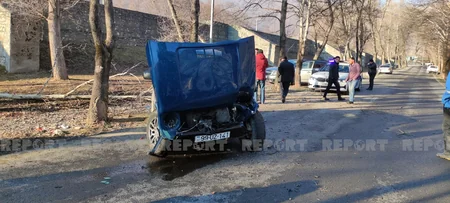 В Шеки автомобиль врезался в дерево, есть пострадавшие