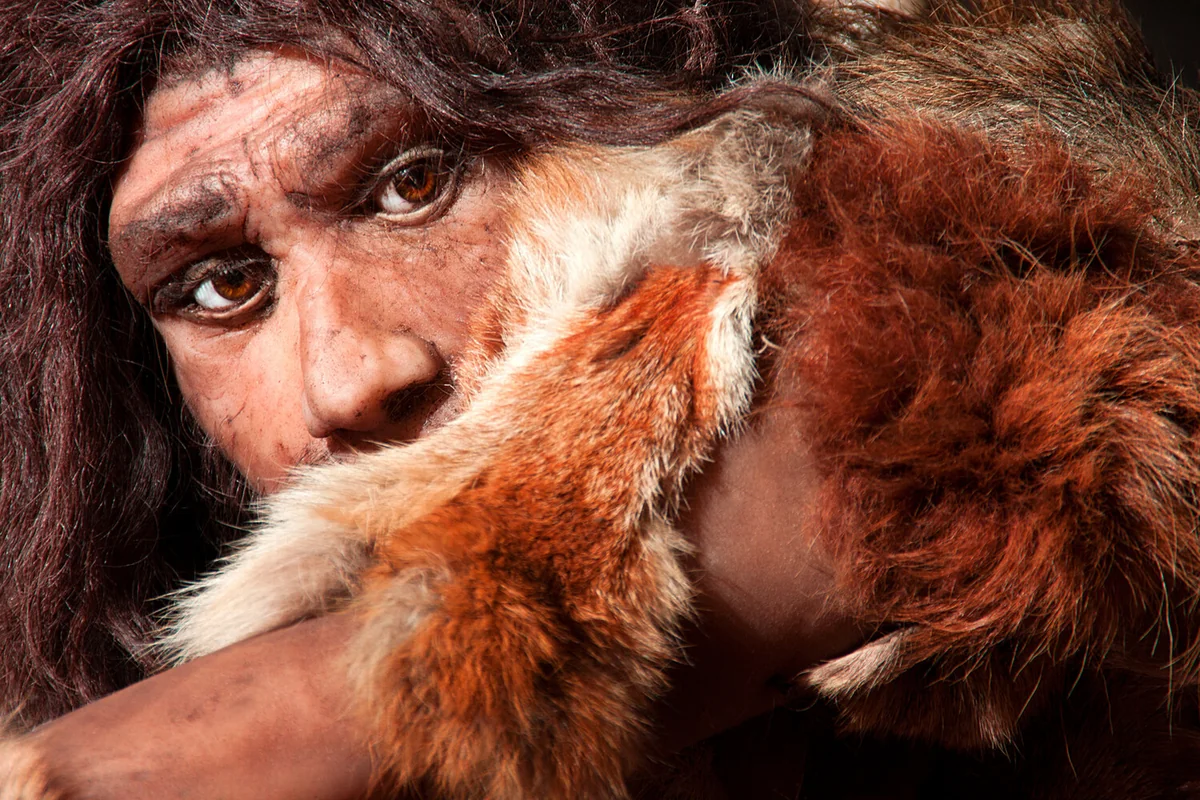 Alimlər neandertalların yoxa çıxmasının səbəbini müəyyən ediblər