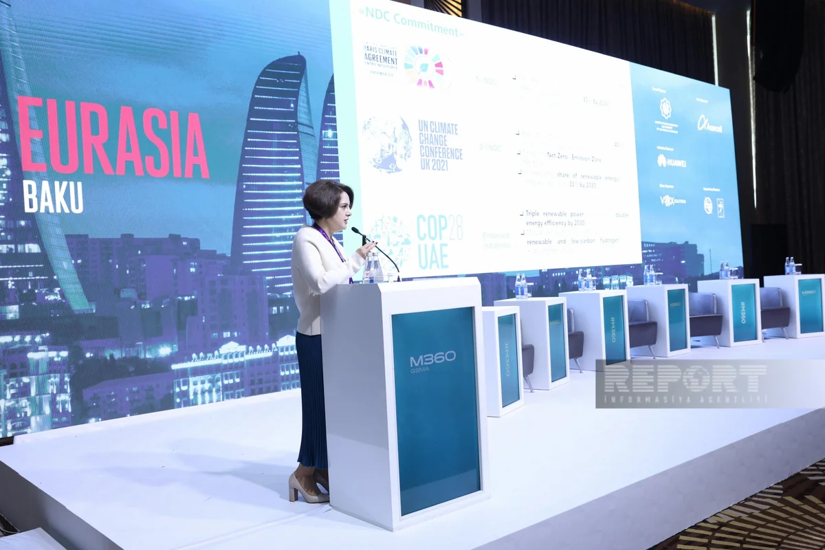 Nearly 100 projects in renewable energy implemented in Azerbaijan so far