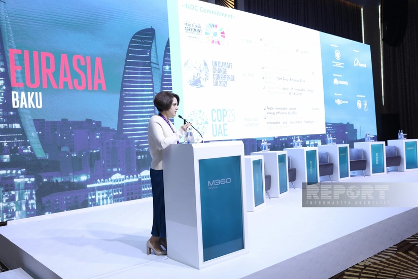 Nearly 100 projects in renewable energy implemented in Azerbaijan so far