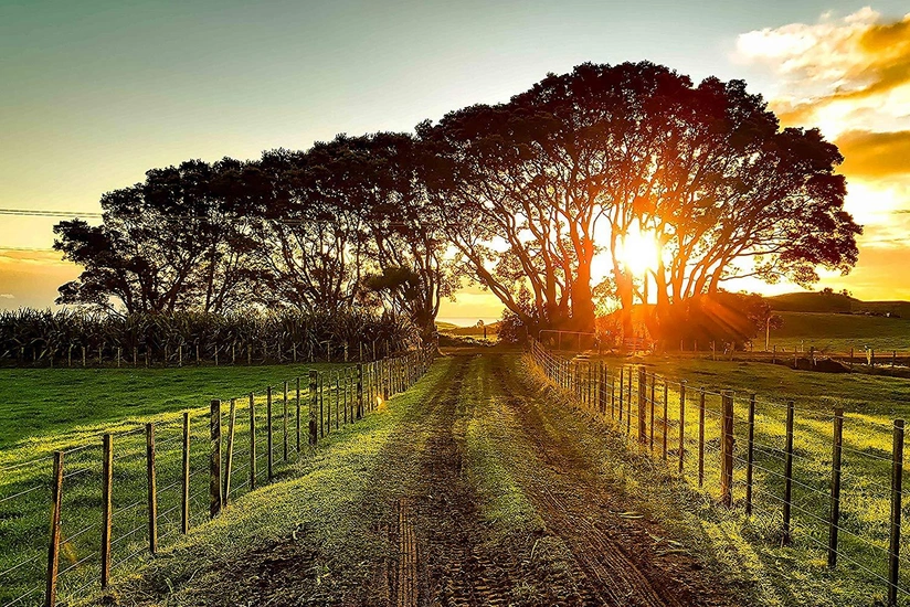 Weather forecast for those traveling on weekend announced