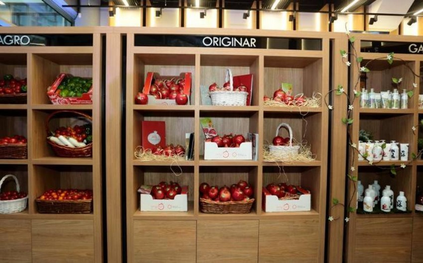 Azerbaijan to open Trade House in Japan