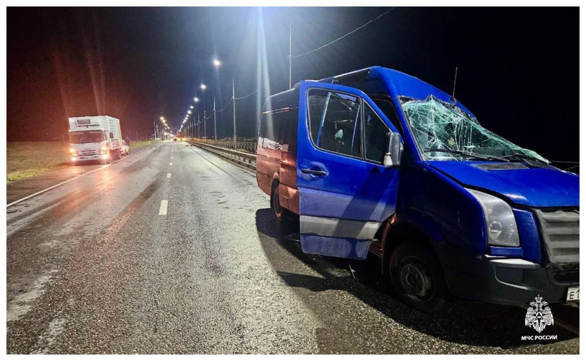 Rusiyada mikroavtobus qəzası nəticəsində 7 nəfər ölüb