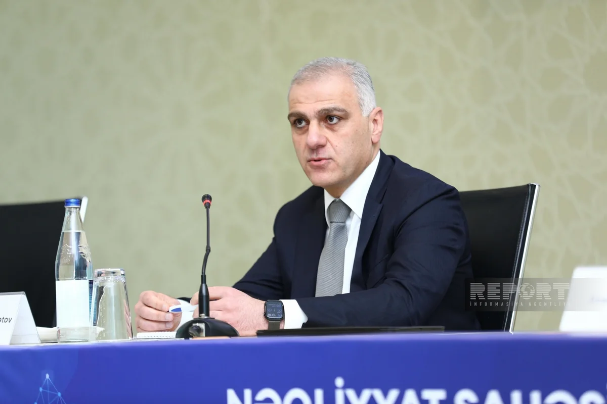 Nazir müavini:  “28 May”dakı multimodal habın oxşarı Dərnəgüldə qurula bilər
