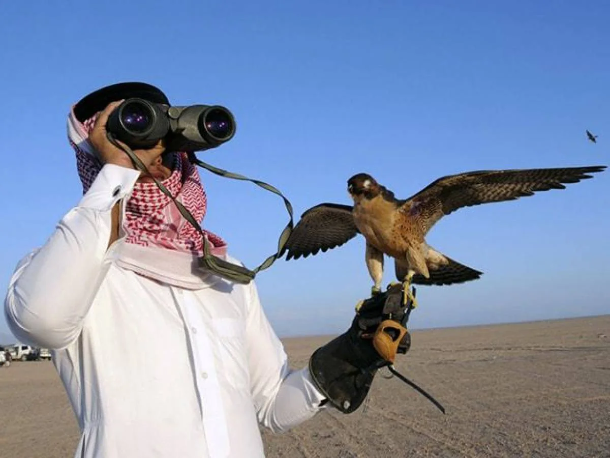 Nazirlik ova görə cərimələnən əcnəbilərin adlarını açıqladı