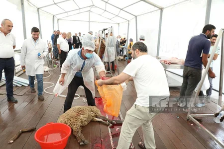 Bakıda Qurban kəsimi - FOTOREPORTAJ