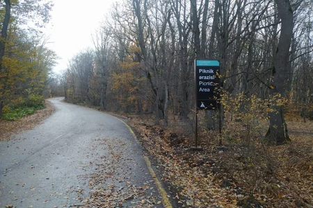 Azerbaijan showcases its tourism potential at COP29